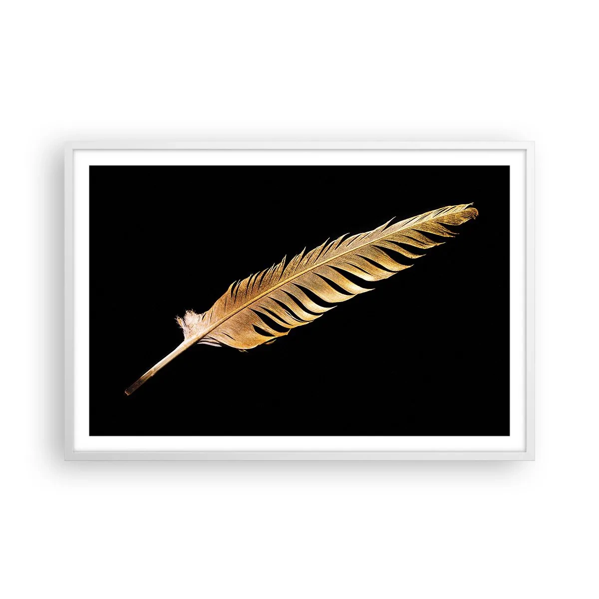 Poster în ramă albă - Pană aurie perfectă - 91x61 cm