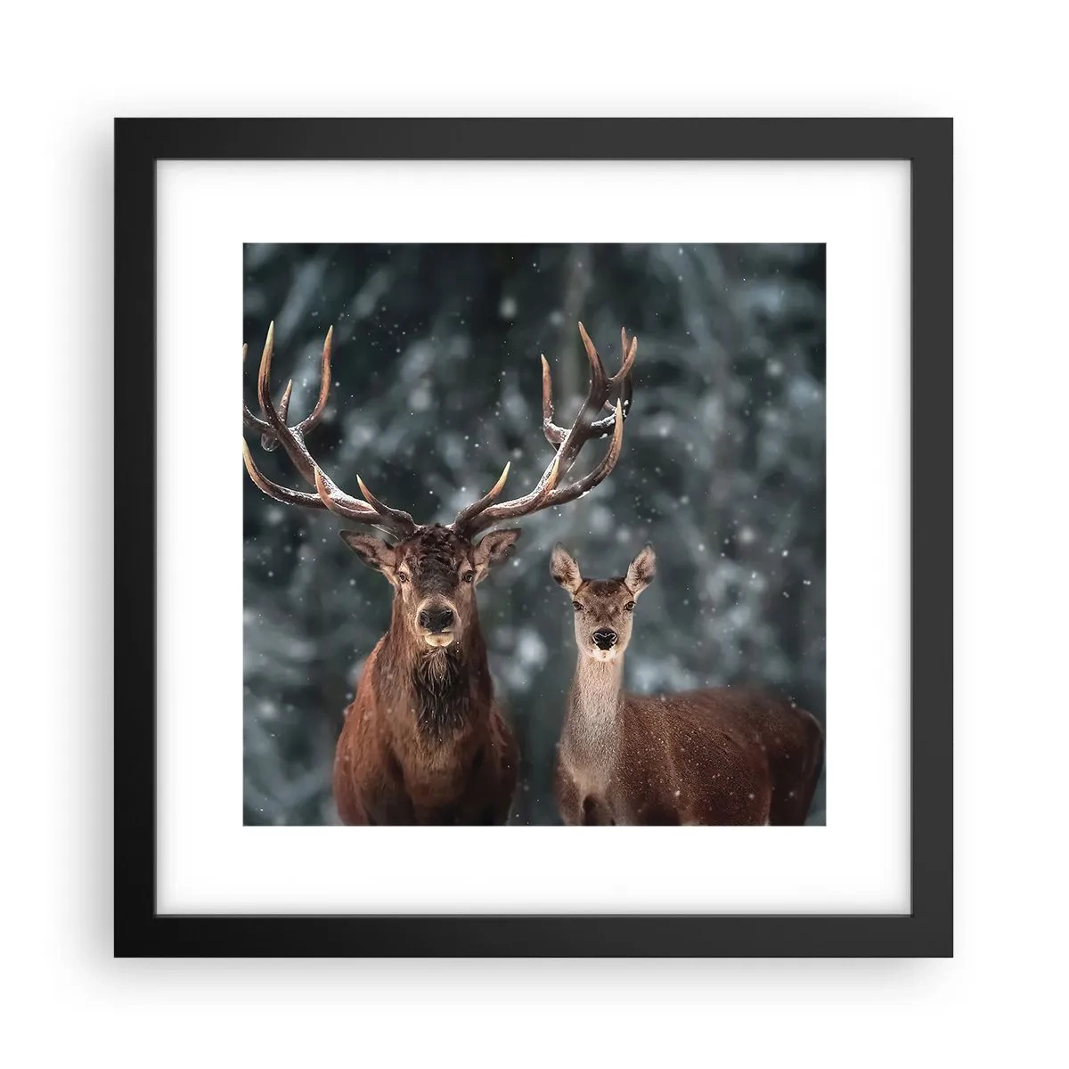 Poster în ramă neagră - Stăpânul pădurii și soția sa - 30x30 cm