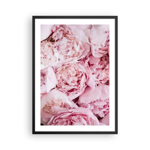 Poster în ramă neagră - Un prim-plan al bujorilor roz delicați în plină floare - 50x70cm - Îmbrățișate și parfumate - Decorațiune modernă pentru perete pentru living și dormitor ARTTOR