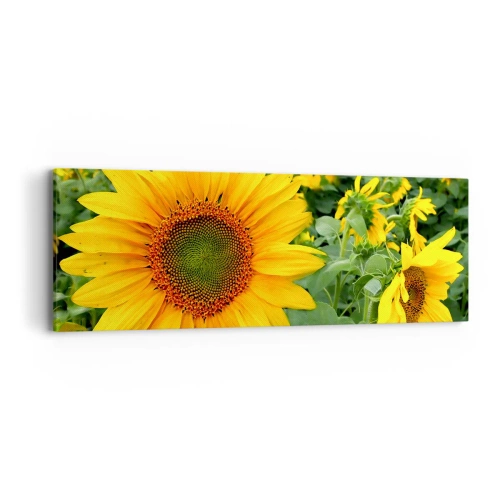 Tablou pe pânză - Sute de sori se aprind în flăcări - 90x30 cm