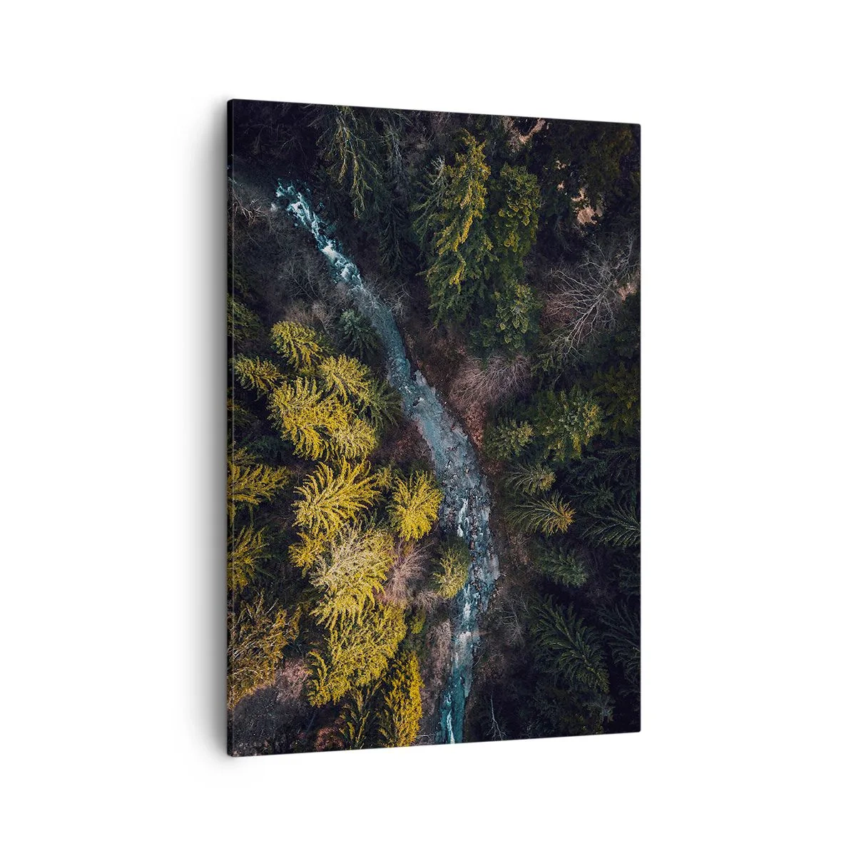 Tablou pe pânză - Rapid și mai rapid - 50x70 cm