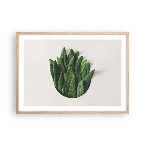 Poster în ramă de stejar deschis - Curiozitatea nestăvilită - 70x50 cm