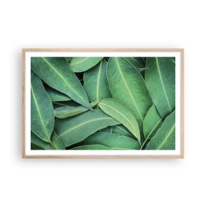 Poster în ramă de stejar deschis - Suculente și proaspete - 91x61 cm