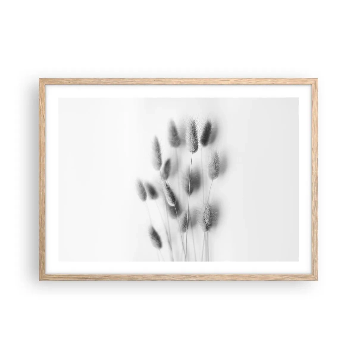 Poster în ramă de stejar deschis - Pufoșenia ierbii - 70x50 cm