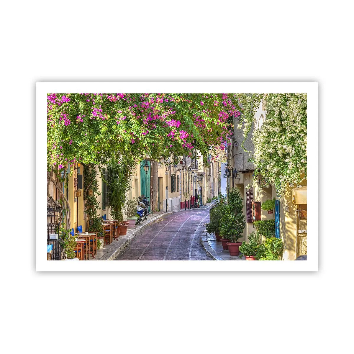 Poster - Alee înfloritoare - 91x61 cm