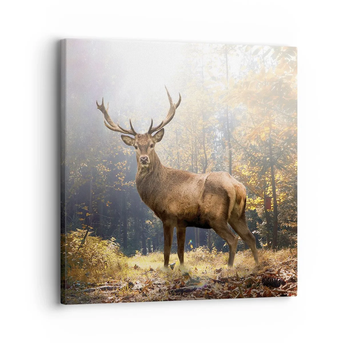 Tablou pe pânză - Măreție calmă - 30x30 cm