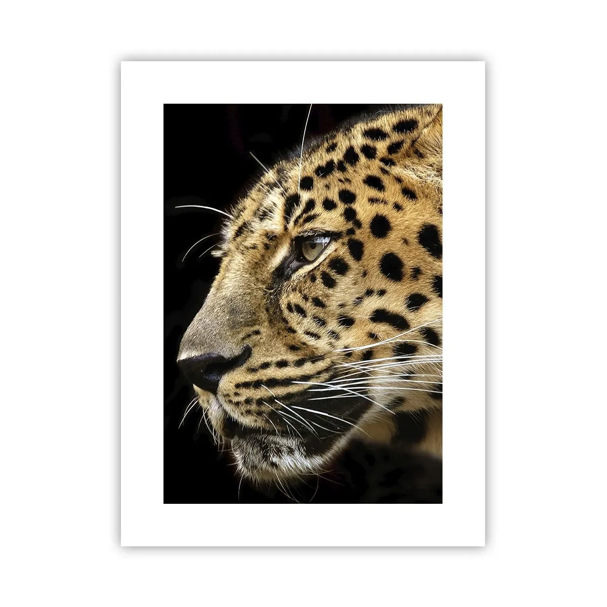 Poster - Calm, concentrat, pregătit - 30x40 cm