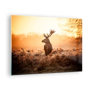Tablou pe sticlă - Cerb pe fundalul unui răsărit de soare într-un peisaj natural - 70x50cm - Stăpânul conacului - Decorațiune modernă pentru perete pentru living și dormitor ARTTOR