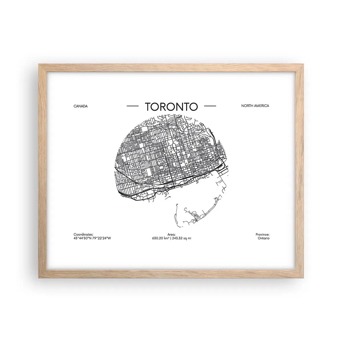 Poster în ramă de stejar deschis - Anatomia Toronto - 50x40 cm