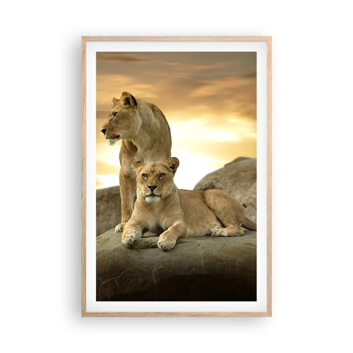 Poster în ramă de stejar deschis - Maiestate regală - 61x91 cm