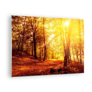 Tablou pe sticlă - Pădurea de toamnă iluminată de strălucirea caldă a soarelui - 70x50cm - Spre o poiană de aur - Decorațiune modernă pentru perete pentru living și dormitor ARTTOR