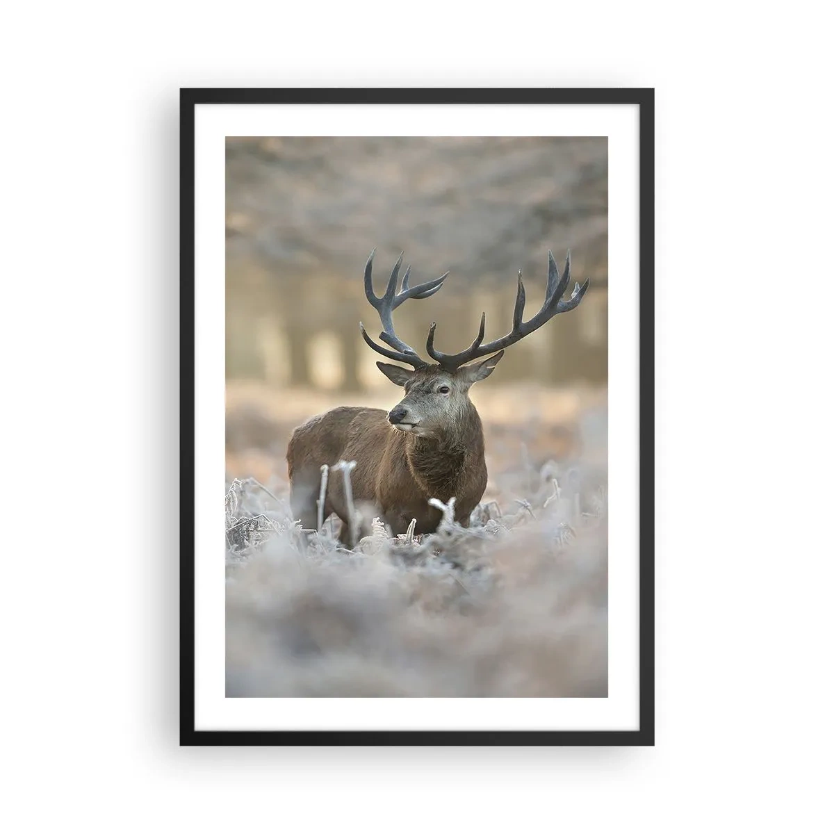 Poster în ramă neagră - Un cerb impunător într-un cadru de pădure de iarnă - 50x70cm - O dimineață răcoroasă - Decorațiune modernă pentru perete pentru living și dormitor ARTTOR