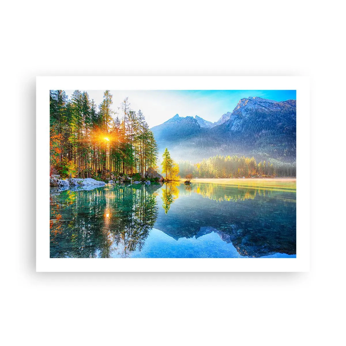 Poster - Maiestate și dulceață - 70x50 cm