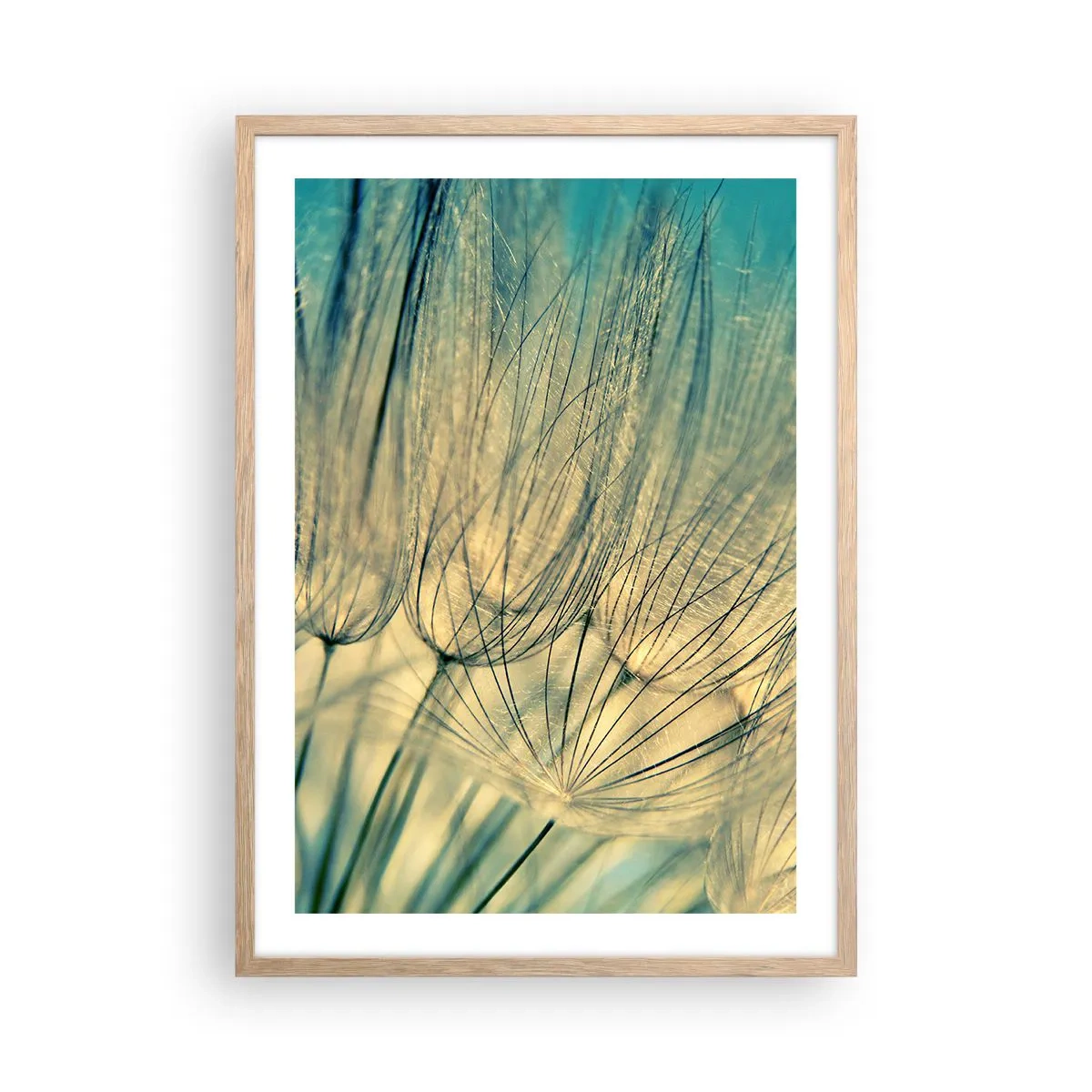 Poster în ramă de stejar deschis - Așteptând vântul - 50x70 cm