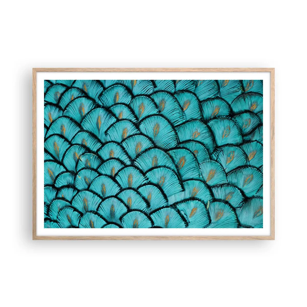 Poster în ramă de stejar deschis - Marea gală a penelor - 100x70 cm