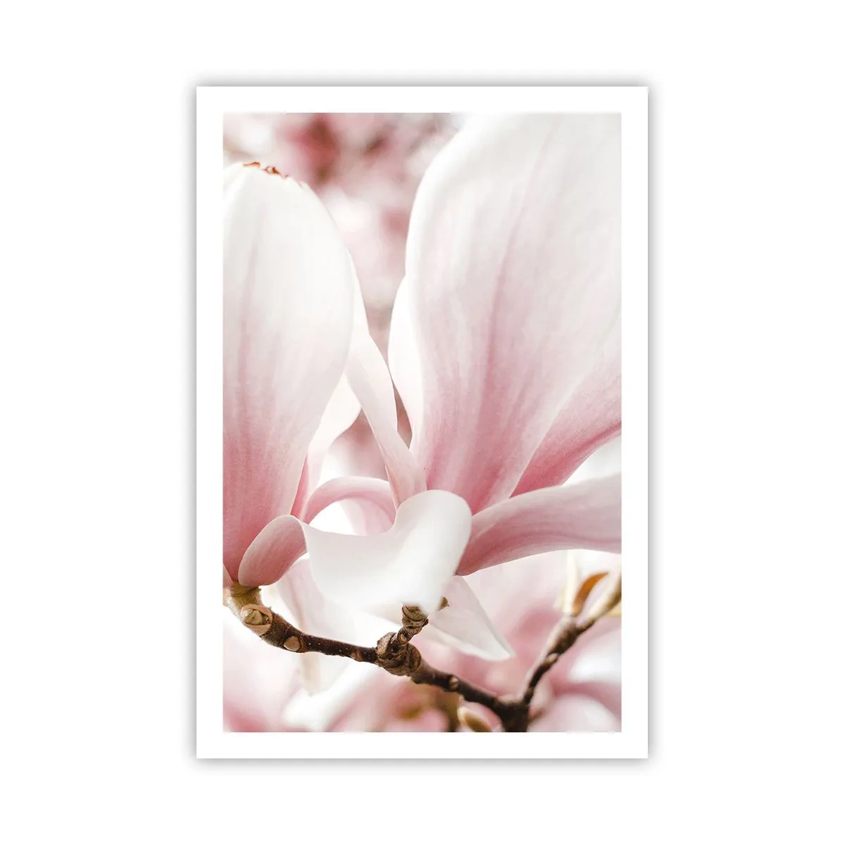 Poster - Imensitatea sensibilității - 61x91 cm