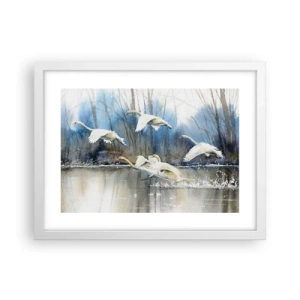 Poster în ramă albă - Dansând cu lebedele sălbatice - 40x30 cm
