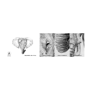 Mostră tapet Premium Sand - Mare ca un elefant - Animale, Elefant, Grafică - 100x30 cm