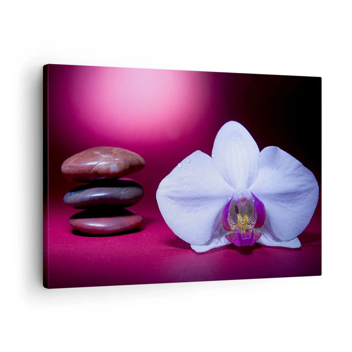 Tablou pe pânză Canvas - Orhidee albă și pietre pe fundal roz - 70x50cm - Un studiu al prospețimii în mov - Decorațiune modernă pentru perete pentru living și dormitor ARTTOR