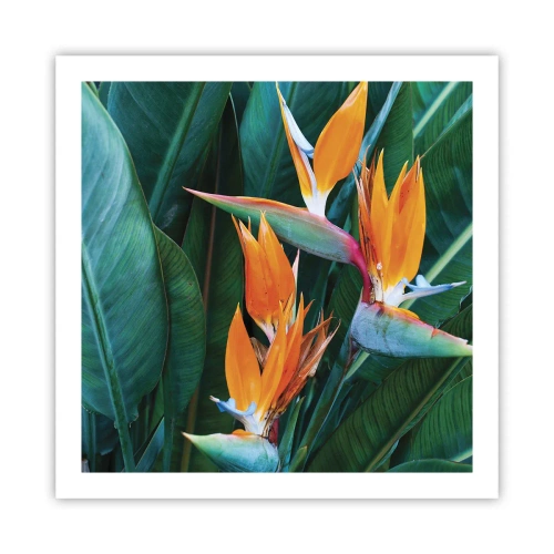 Poster - Este o floare sau o pasăre? - 60x60 cm