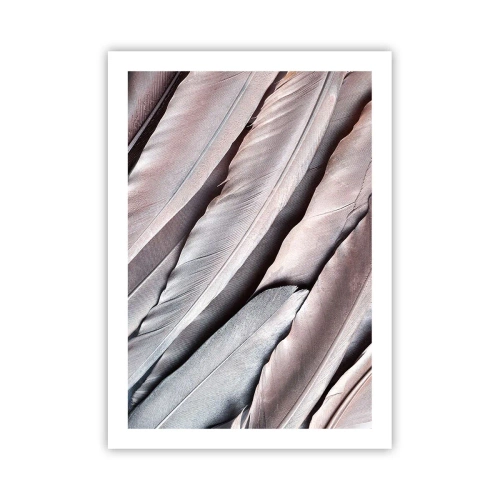 Poster - Argintul roz - 50x70 cm