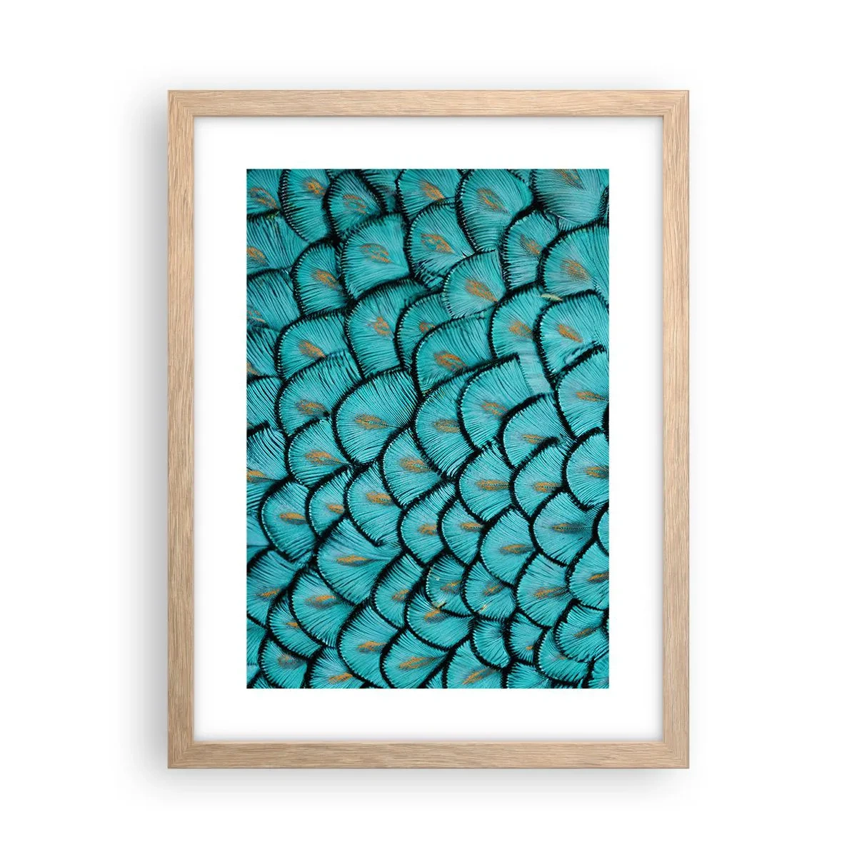 Poster în ramă de stejar deschis - Marea gală a penelor - 30x40 cm