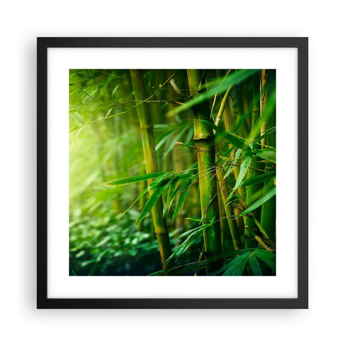 Poster în ramă neagră - Cunoașteți verdeața în sine - 40x40 cm