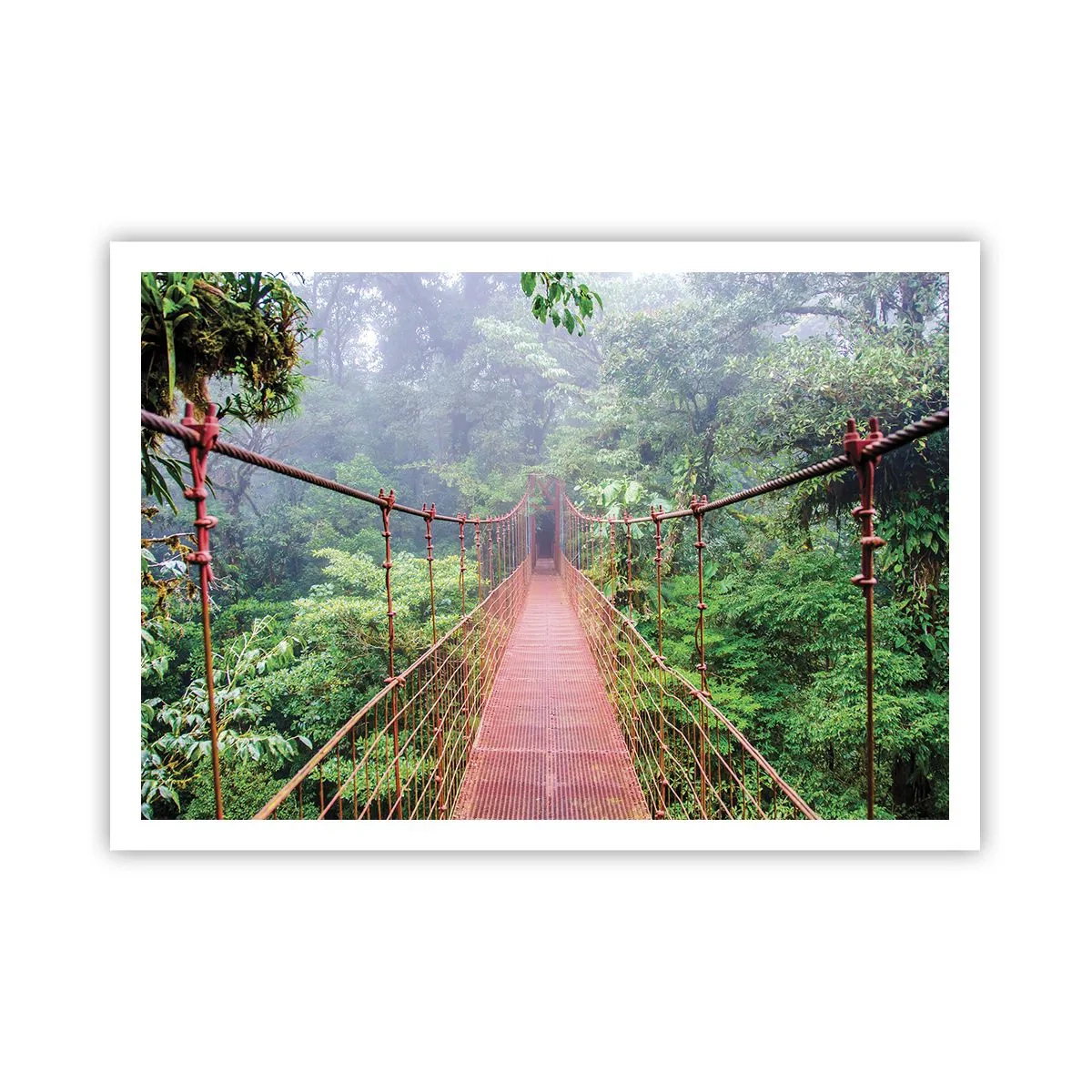 Poster - Suspendat deasupra coroanelor arborilor - 100x70 cm