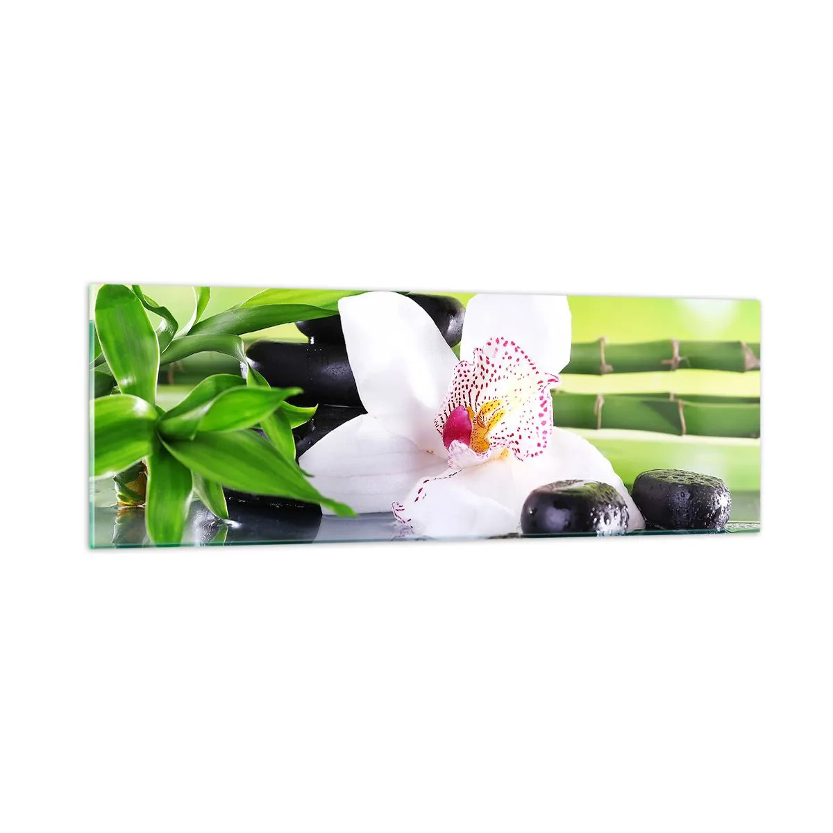 Tablou pe sticlă - Prospețime răcoroasă - 90x30 cm