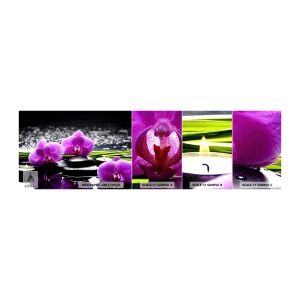 Mostră de Tapet Standard Eco - Să te scufunzi în pace și liniște - Flori, Orhidee, Orhidee - 100x30 cm