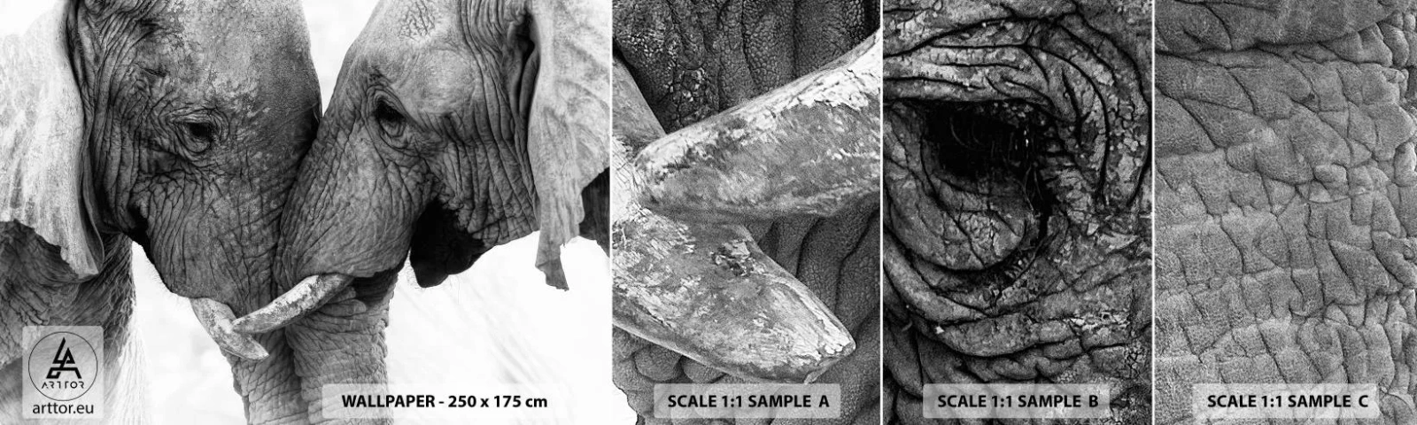 Mostră de Tapet Standard Eco - Mărturisire din inimă - Elefant, Animale, Africa - 100x30 cm