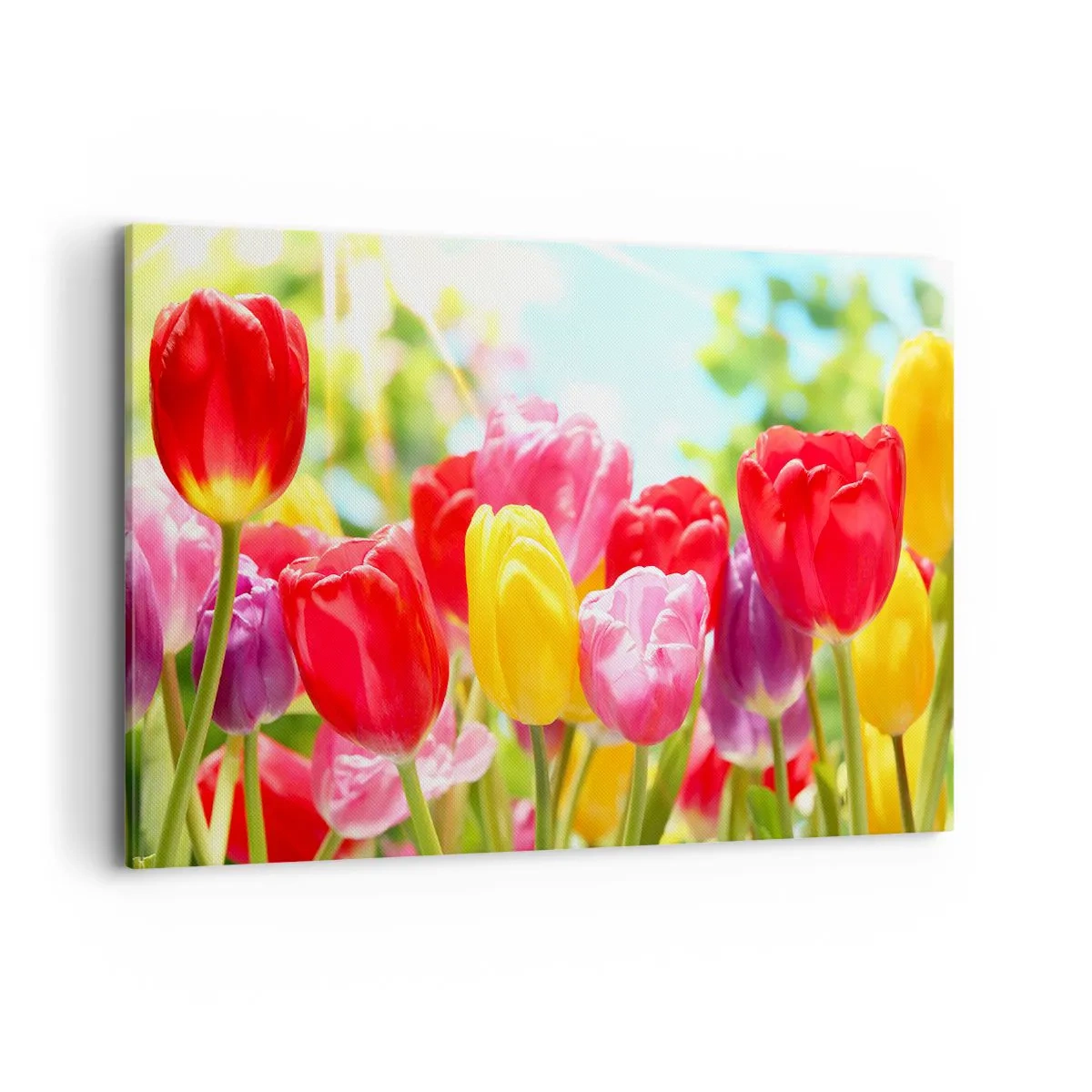 Tablou pe pânză - Așa suntem noi, culorile lunii mai! - 120x80 cm