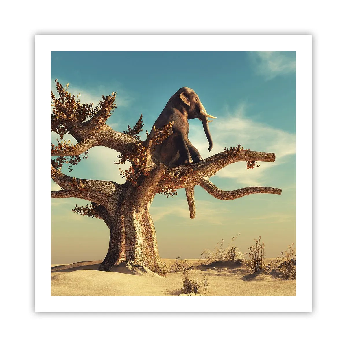 Poster - Un nou punct de vedere - 60x60 cm