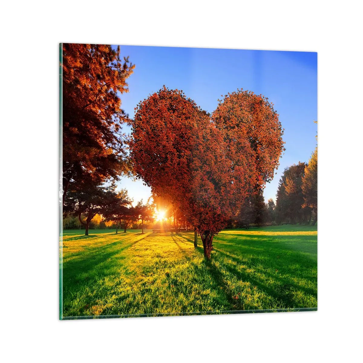 Tablou pe sticlă - Și cum să nu iubești toamna? - 70x70 cm