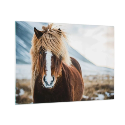 Tablou pe sticlă - Un cal pe fundalul unui peisaj montan în timpul iernii - 70x50cm - Simțiți libertatea? - Decorațiune modernă pentru perete pentru living și dormitor ARTTOR