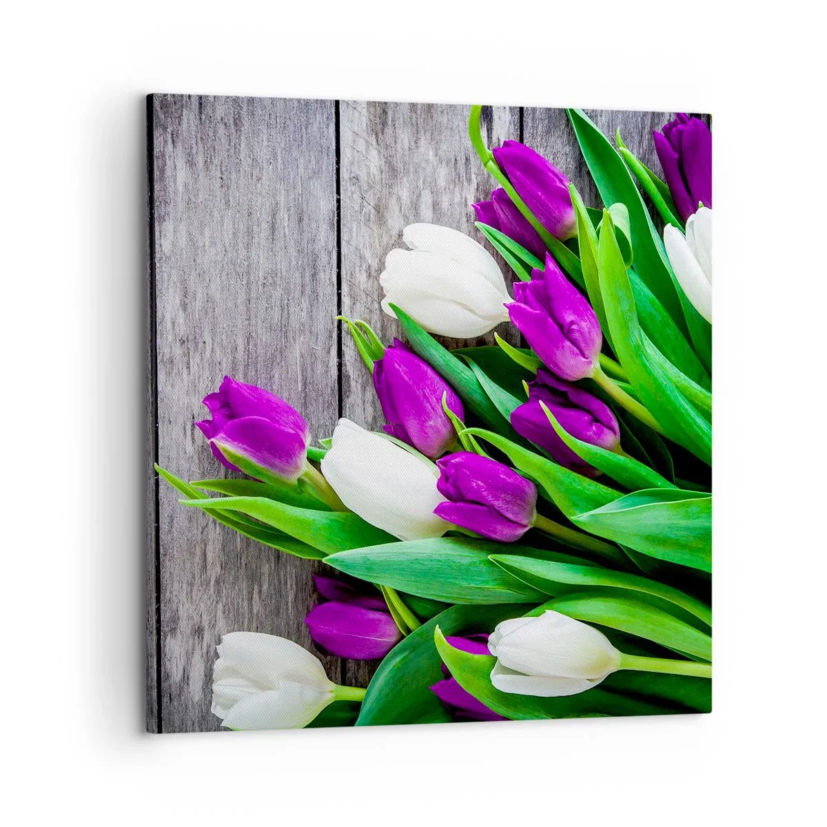 Tablou pe pânză - În ziua festivalului de primăvară - 50x50 cm