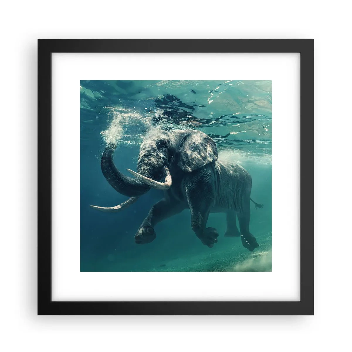 Poster în ramă neagră - Tuturor le place să înoate - 30x30 cm