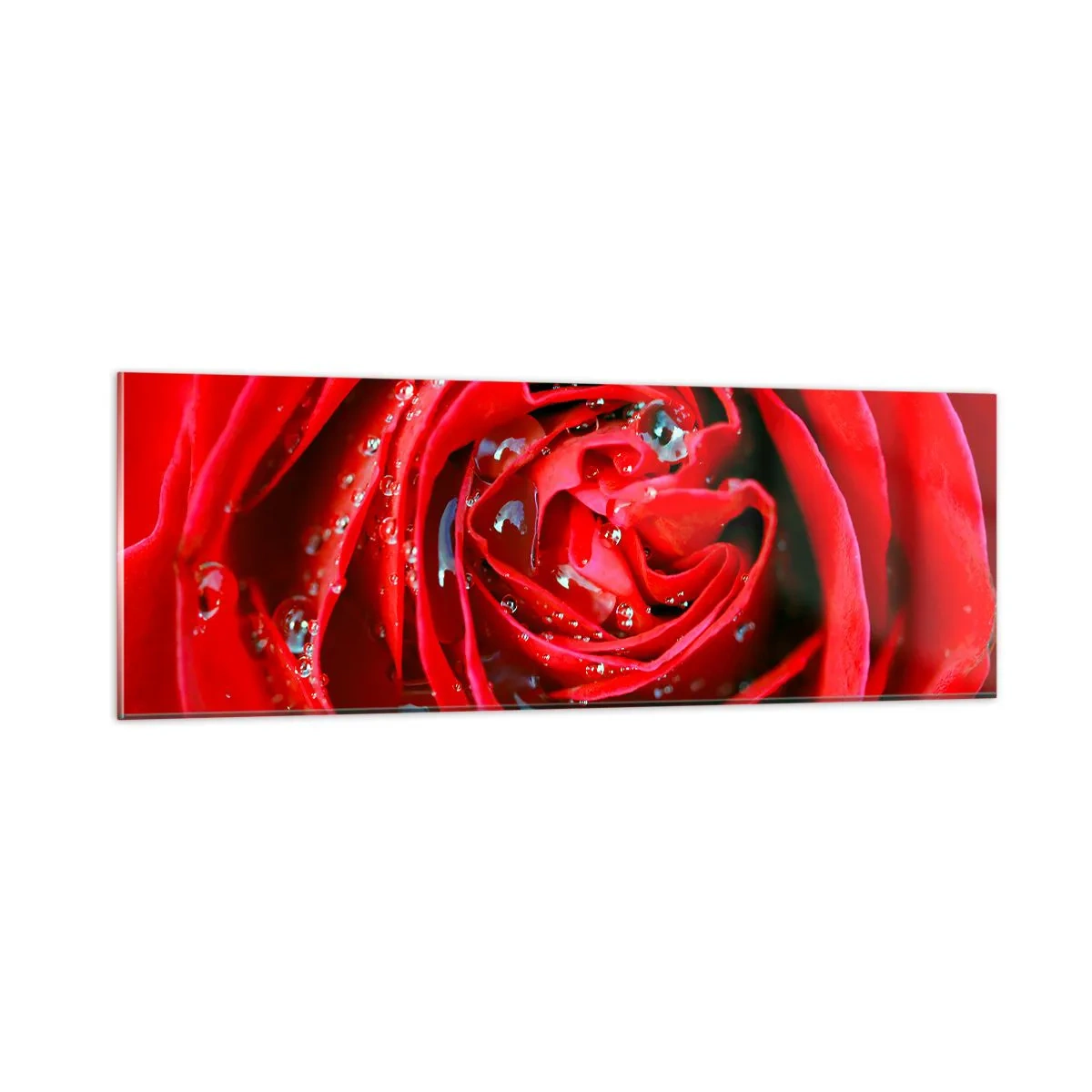 Tablou pe sticlă - În picături de rouă - 90x30 cm
