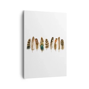 Tablou pe pânză - Variație cu pene - 50x70 cm