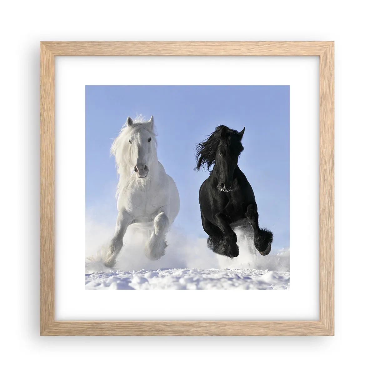 Poster în ramă de stejar deschis - Galop de alb și negru - 30x30 cm