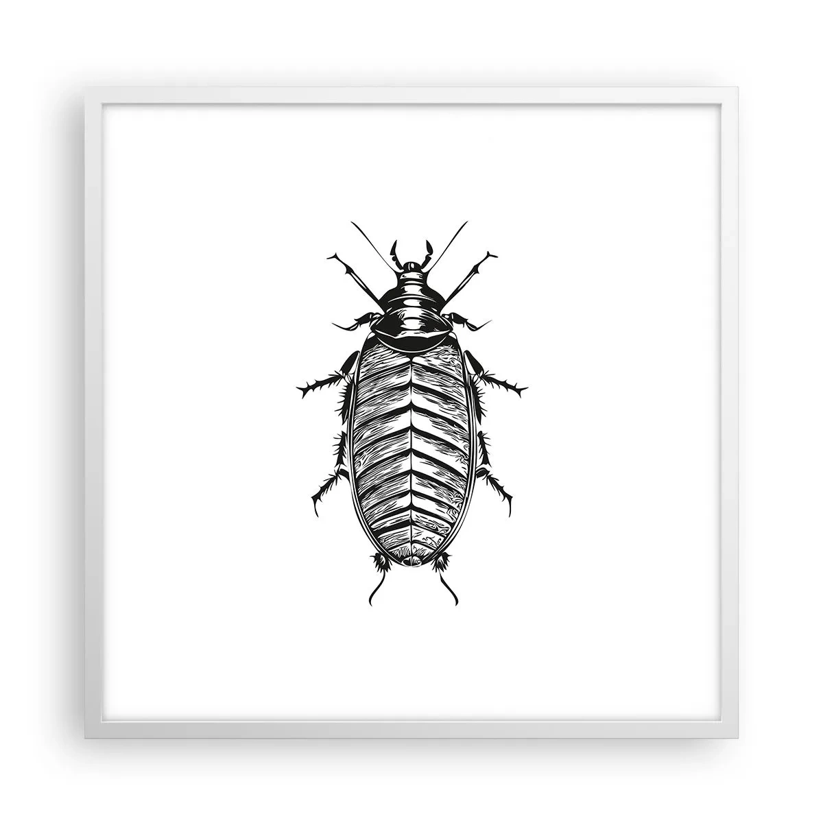 Poster în ramă albă - Ce specimen! - 60x60 cm