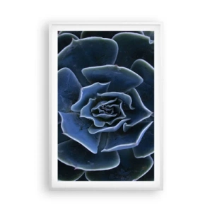 Poster în ramă albă - Floare de deșert - 61x91 cm