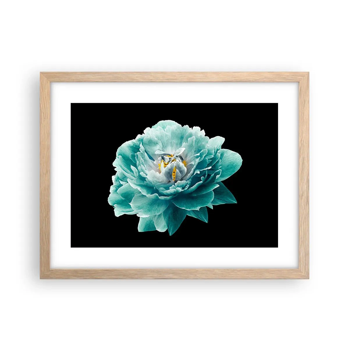 Poster în ramă de stejar deschis - Petale albastre și aurii - 40x30 cm