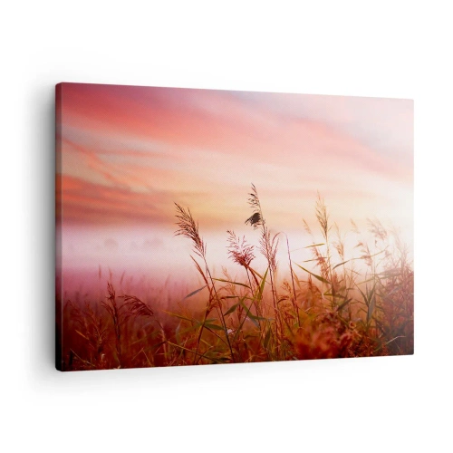 Tablou pe pânză Canvas - Un câmp de iarbă pe fundalul unui apus de soare pitoresc - 70x50cm - Zmeuri, suflante, vânt - Decorațiune modernă pentru perete pentru living și dormitor ARTTOR