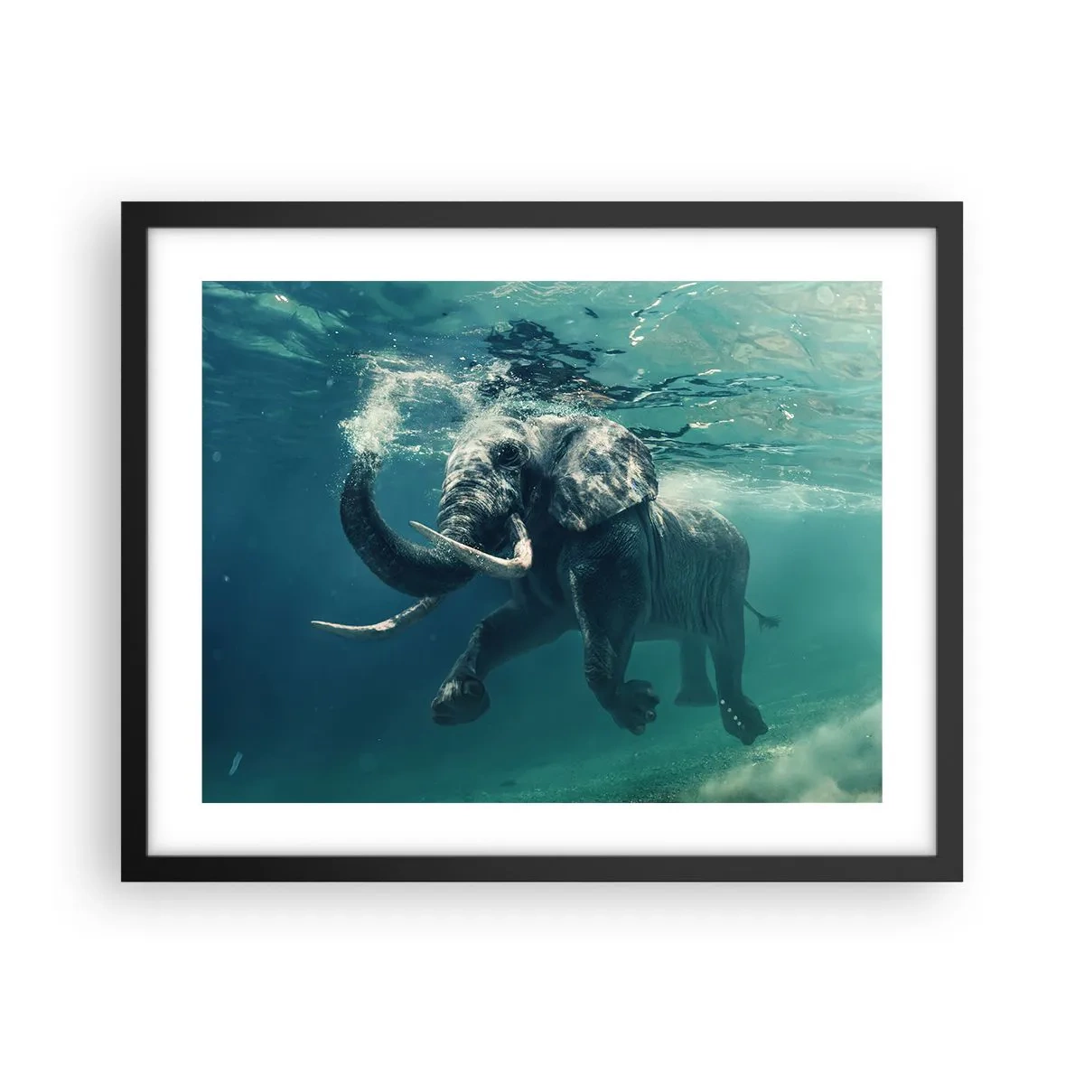 Poster în ramă neagră - Tuturor le place să înoate - 50x40 cm