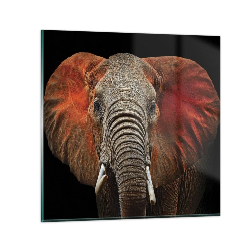 Tablou pe sticlă - Sunt sălbatic, și tu? - 70x70 cm