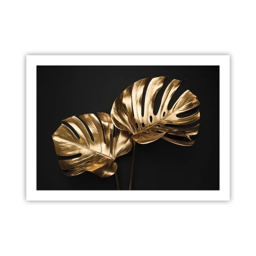 Poster - Comorile naturii - 70x50 cm