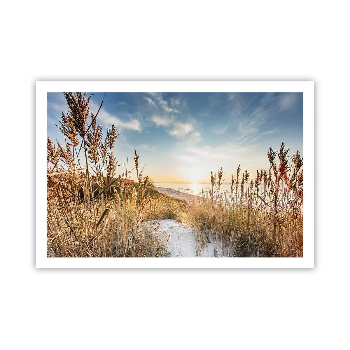 Poster - Plaja de nord - 91x61 cm