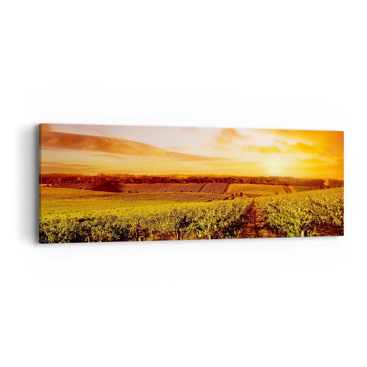 Tablou pe pânză - Cu un iz de fructe, cu o notă de soare - 90x30 cm