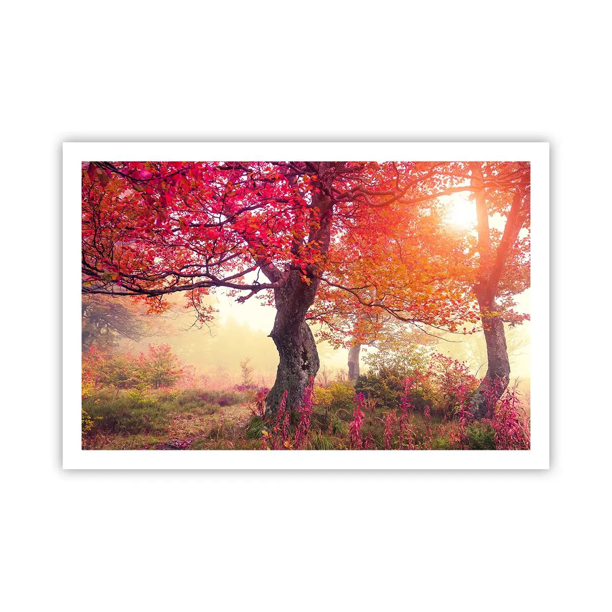 Poster - O frenezie de înflorire - 91x61 cm